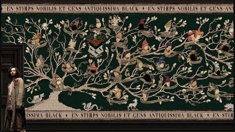 sirius black's brother|sirius black family tree.